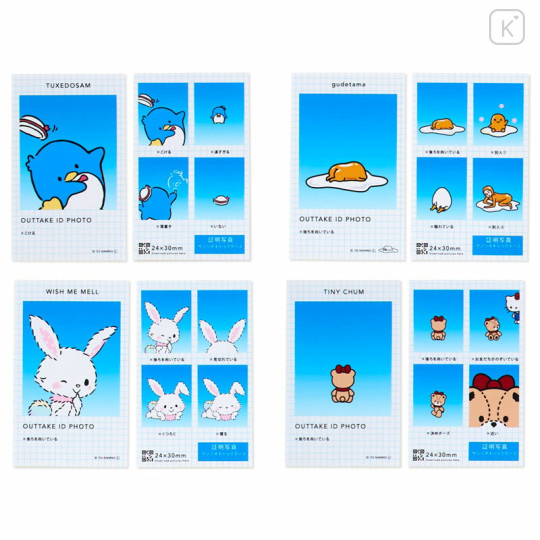 Japan Sanrio Secret ID Photo Sticker - Sanrio Characters : Blind Box NG version - 5