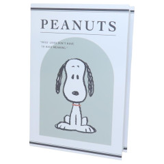 Japan Peanuts Book-Shaped Box Case - Snoopy : White