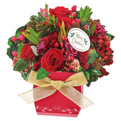 Japan Sanrio 3D Greeting Card - Christmas Flower Arrangement