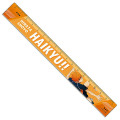 Japan Haikyuu 17cm Ruler - Shoyo Hinata - 1