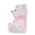 Japan Disney Store Plush Toy - Pooh : White Pooh Reversible 2 Way - 4