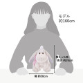 Japan Disney Store Plush Toy - Eeyore : White Pooh Reversible 2 Way - 8