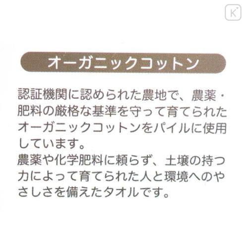 Japan Super Mario Petit Towel Handkerchief - Super Mario Brothers Luigi - 5