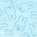 Japan Miffy Clear Flat Pouch - Miffy : Writing Light Blue - 3