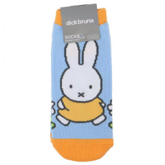 Japan Miffy Socks - Miffy : Orange Blue