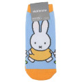 Japan Miffy Socks - Miffy : Orange Blue - 1