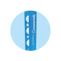 Japan Sanrio Clear Chopsticks 23cm - Cinnamoroll : Blue - 2