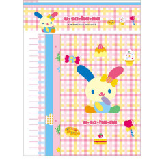 Japan Sanrio Letter Writing Set - Usahana