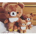 Japan San-X Plush (M) - Chairoikoguma - 3