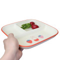 Japan Miffy Divided Plate - Miffy : Strawberry - 2