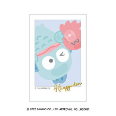 Japan Sanrio Idol Photo Sticker - Hangyodon