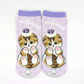 Japan Mofusand Ankle Socks - Cat : Parfait Blueberry - 1