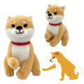 Japan Shibata-san Sitting Plush Toy - Hand-giving - 4