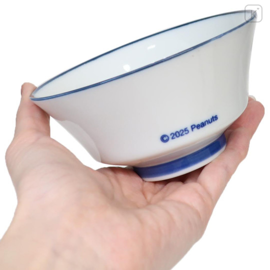 Japan Peanuts Mino Ware Bowl - Snoopy & Woodstock : Wave - 2