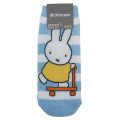 Japan Miffy Socks - Miffy : Stroller Blue Striped - 1