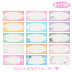 Japan Sanrio Original Secret Hard Ticket Case - Enjoy Idol Blind Box