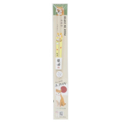 Japan Shibata-san Clear Chopsticks 23cm - Lunch