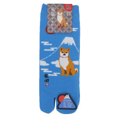 Japan Shibata-san Split Toe Socks (M) - Mount Fuji