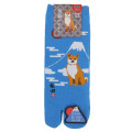 Japan Shibata-san Split Toe Socks (M) - Mount Fuji - 1