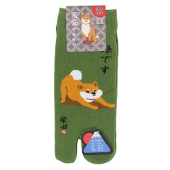 Japan Shibata-san Split Toe Socks (S) - No No