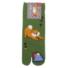 Japan Shibata-san Split Toe Socks (M) - No No
