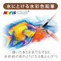 Japan Staedtler Watercolor Pencil 24 Color Set - Noris Aquarell - 3