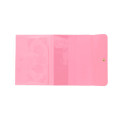 Japan Chiikawa A5 Flat Case File Folder - Chiikawa & Hachiware & Usagi : Sakura - 5