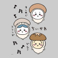 Japan Chiikawa Charapita Iron Print A5 - Chiikawa & Hachiware & Usagi : Mushroom - 4