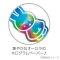 Japan Miffy Hologram Sticker Set - Miffy : Aurora Pink - 3