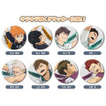 Japan Haikyuu Secret Can Badge - Blind Box A - 2