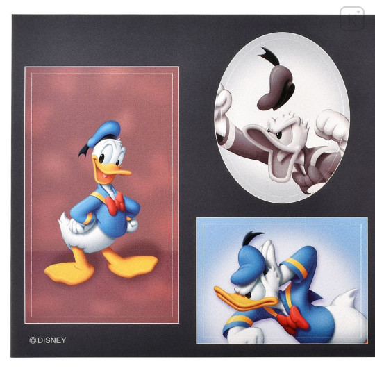 Japan Disney Store Photo Studio Style Sticker Collection - Donald - 3