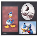 Japan Disney Store Photo Studio Style Sticker Collection - Donald - 3