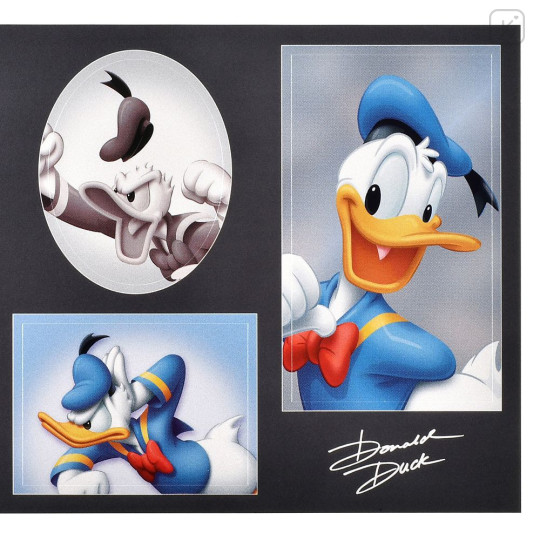Japan Disney Store Photo Studio Style Sticker Collection - Donald - 4