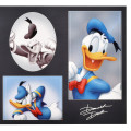 Japan Disney Store Photo Studio Style Sticker Collection - Donald - 4