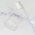 Japan Peanuts Toothbrush & Pouch Set - Snoopy : Dusky Palette IV - 3