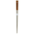 Japan San-x Leg Color Coated Chopsticks 22.5cm - Chairoikoguma - 1