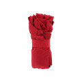 Japan Mofusand Hibiya Kadan Frilly Eco Bag - Red - 4