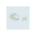 Japan Mofusand Hibiya Kadan Transparent Sticky Notes - Green - 4