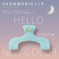 Japan Ukanmuri Book Clip - Morning Soda Clear Blue - 2