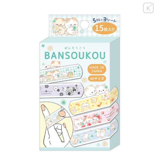 Japan Kamio Boxed Bandages - Chubby Cat Flower Bread - 1
