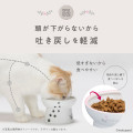 Japan Mofusand Cat Food Bowl with Legs - v2 - 6