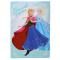 Japan Disney Store Picnic Blanket Leisure Sheet - Anna & Elsa : Skating Leisure Time - 2