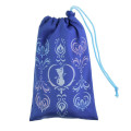 Japan Disney Store Picnic Blanket Leisure Sheet - Anna & Elsa : Skating Leisure Time - 4