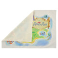 Japan Disney Store Picnic Blanket Leisure Sheet - Peter Pan : World Map - 4