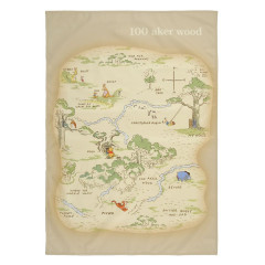 Japan Disney Store Picnic Blanket Leisure Sheet - Winnie the Pooh : World Map