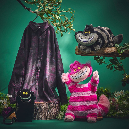 Japan Disney Store Plush Toy - Cheshire Cat - 7