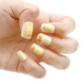 Japan San-X Original Nail Tips - Sumikko Gurashi : Ebifurai no Shippo Fried Shrimp Tail Flower - 3