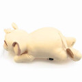 Japan Disney Co-sleeping Pillow Plush - The Lion King - 2
