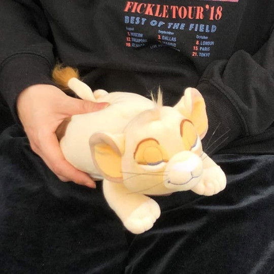 Japan Disney Co-sleeping Pillow Plush (SS) - The Lion King - 4