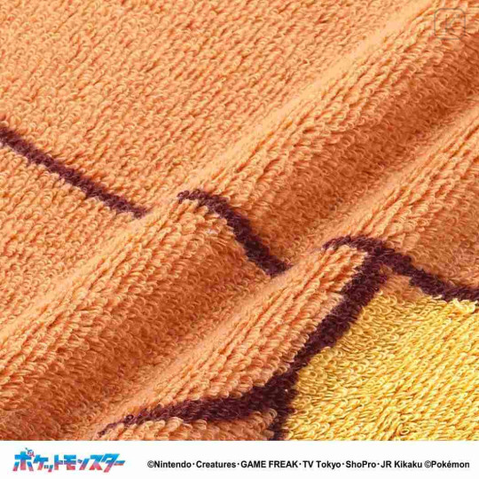 Japan Pokemon Fluffy Half Handkerchief Set - Charizard & Pikachu - 2